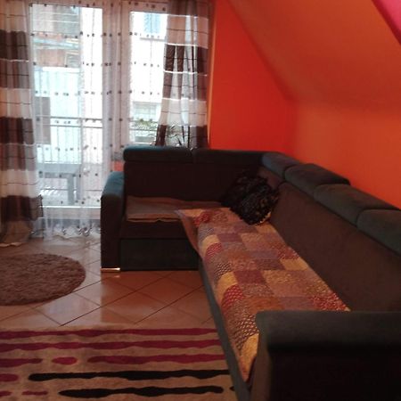 Uroczy Apartament Krakow Dış mekan fotoğraf